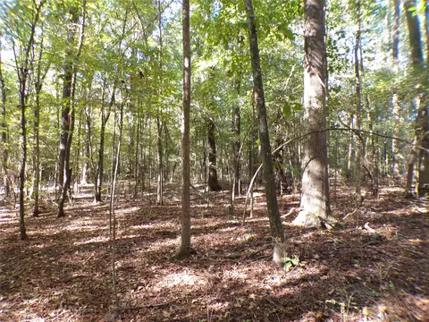 Exterior - 175 Brown Rd, Springhill, LA 71075 photo 3 of 4
