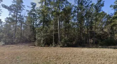 16 Coyote, New Waverly, TX 77358