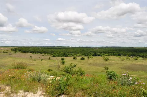 tbd B Two Bush Rd, Perrin, TX 76486 photo 21