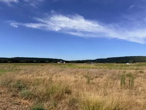 770 Beddo, Santo, TX 76472 photo 8