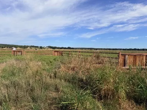 770 Beddo, Santo, TX 76472 photo 3