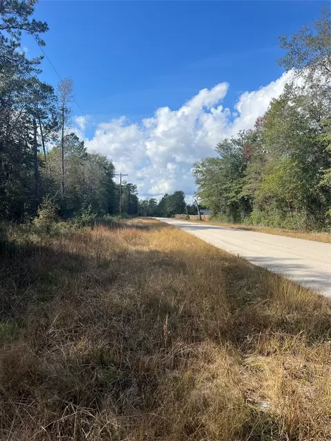 00 Gore Store Rd, Kountze, TX 77663