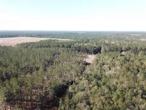 00 Hunting Lodge Rd, Kountze, TX 77625
