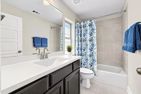 Bath - 9220 Lamar St, Rowlett, TX 75089 photo 3 of 4