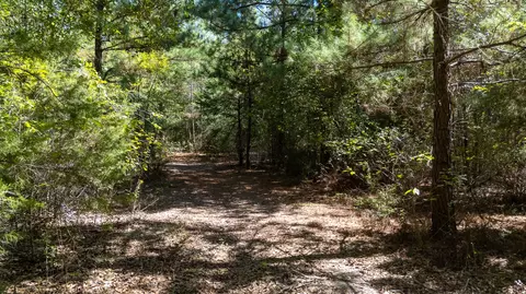 tbd Peach #1, Gilmer, TX 75755