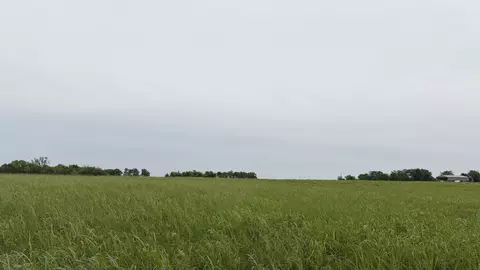 tbd Fm 114, Annona, TX 75550