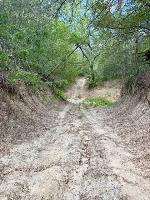 00 Anchor Ranch Loop, Flatonia, TX 78941 photo 12