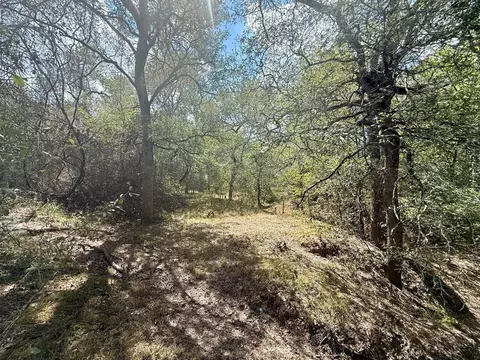 00 Anchor Ranch Loop, Flatonia, TX 78941 photo 13