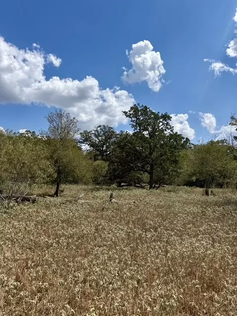 00 Anchor Ranch Loop, Flatonia, TX 78941 photo 2