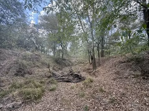 00 Anchor Ranch Loop, Flatonia, TX 78941 photo 3