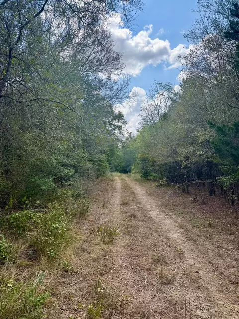 00 Anchor Ranch Loop, Flatonia, TX 78941 photo 11