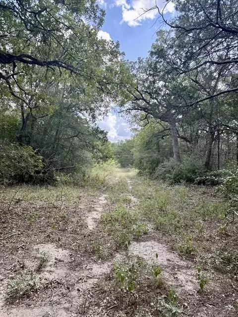 00 Anchor Ranch Loop, Flatonia, TX 78941 photo 6