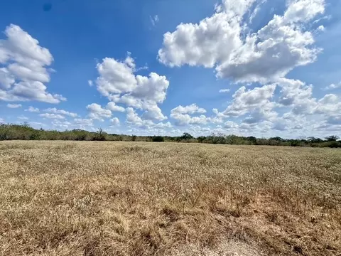 00 Anchor Ranch Loop, Flatonia, TX 78941 photo 9