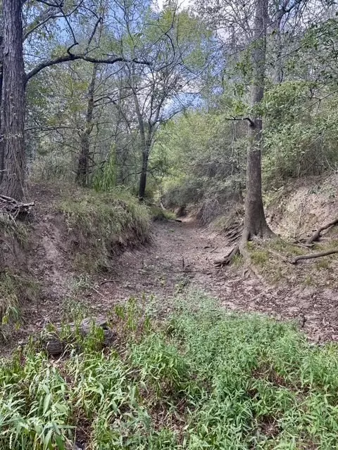 00 Anchor Ranch Loop, Flatonia, TX 78941 photo 8