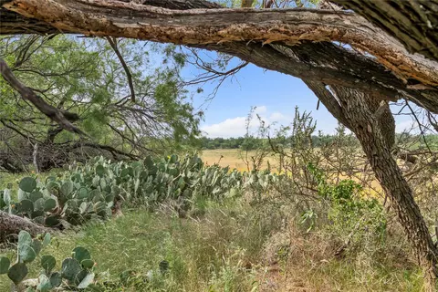 14175 S Highway 6, Moran, TX 76464