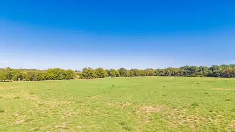 88 Acres County Road 1019, Celeste, TX 75423 photo 27