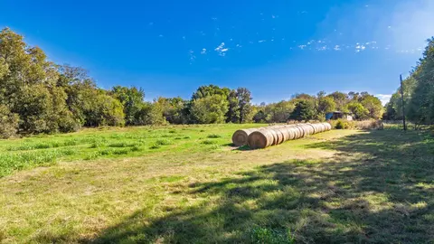 88 Acres County Road 1019, Celeste, TX 75423 photo 8