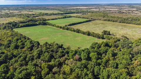 88 Acres County Road 1019, Celeste, TX 75423 photo 18