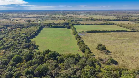 88 Acres County Road 1019, Celeste, TX 75423 photo 20