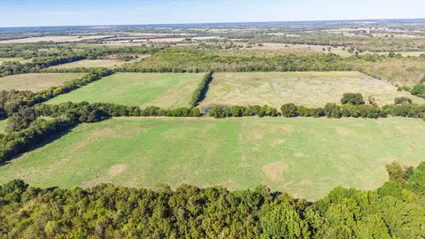 88 Acres County Road 1019, Celeste, TX 75423 photo 15