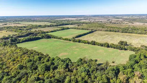 88 Acres County Road 1019, Celeste, TX 75423 photo 16