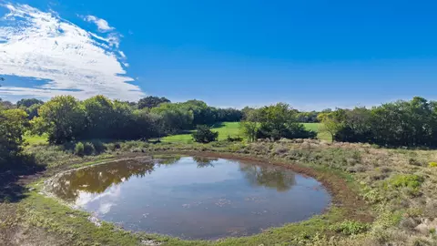 88 Acres County Road 1019, Celeste, TX 75423 photo 23