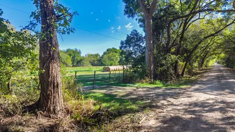 88 Acres County Road 1019, Celeste, TX 75423 photo 6