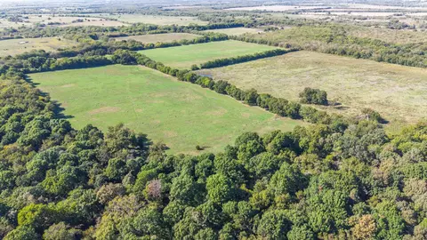 88 Acres County Road 1019, Celeste, TX 75423 photo 19