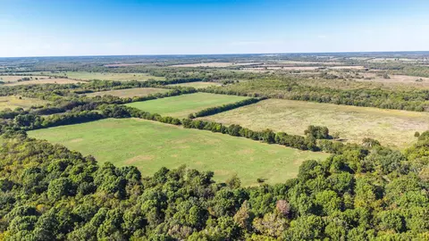 88 Acres County Road 1019, Celeste, TX 75423 photo 17