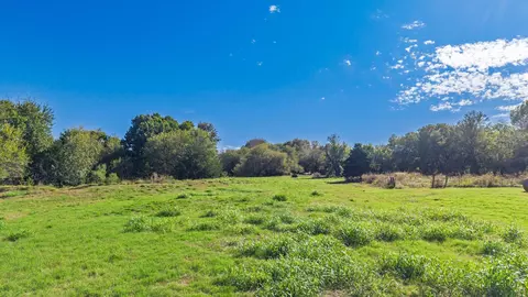88 Acres County Road 1019, Celeste, TX 75423 photo 34