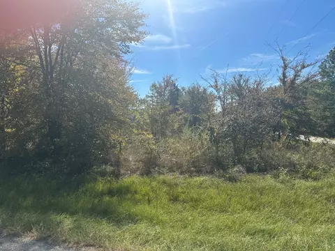 1627 Luzon St, Tool, TX 75143 photo 3