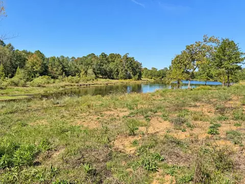 tbd Fm 2015 #LOT C, Winona, TX 75792
