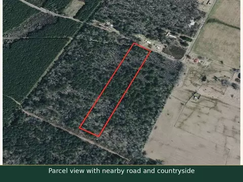0 Israelite Rd, Ringgold, LA 71068 photo 4