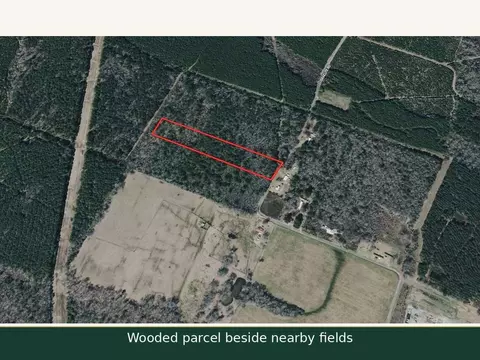 0 Israelite Rd, Ringgold, LA 71068 photo 6