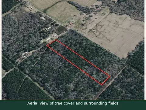 0 Israelite Rd, Ringgold, LA 71068 photo 3