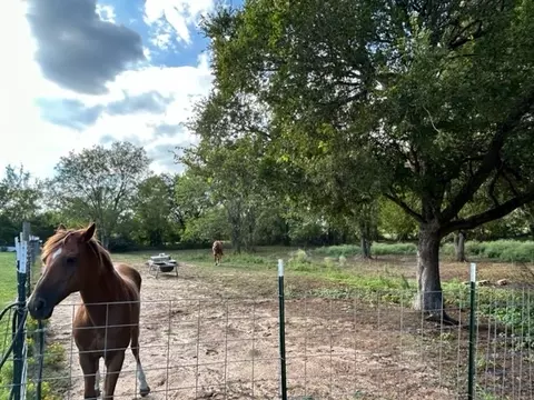 907 E Grayson, Mexia, TX 76667 photo 73