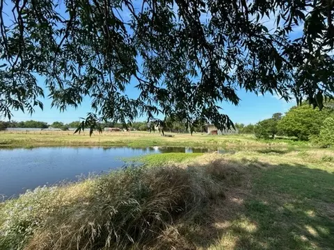907 E Grayson, Mexia, TX 76667 photo 39