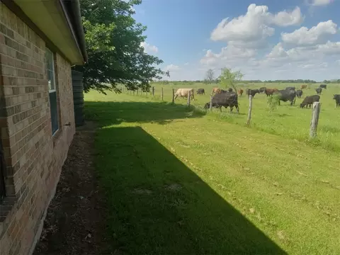 357 Cr 252 Rd, Reagan, TX 76680 photo 5