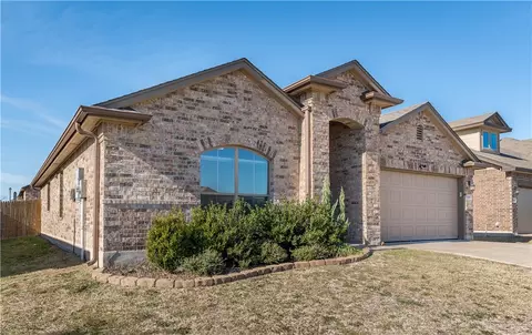 2917 Jackal Dr, Lorena, TX 76655 photo 2
