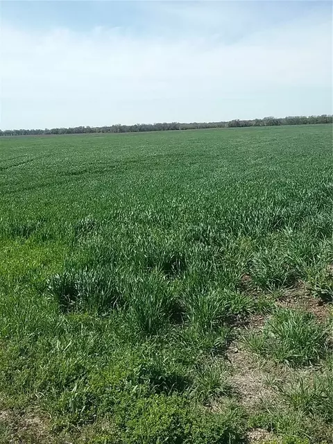 tbd Dale Acres Rd, Milford, TX 76670