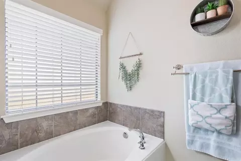Bath - 10504 Condor Loop, Waco, TX 76708 photo 3 of 5