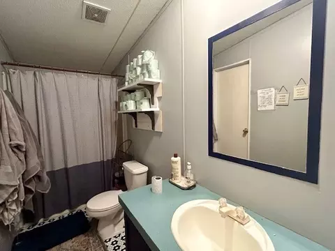 410 Pecan St, Bangs, TX 76823 photo 22