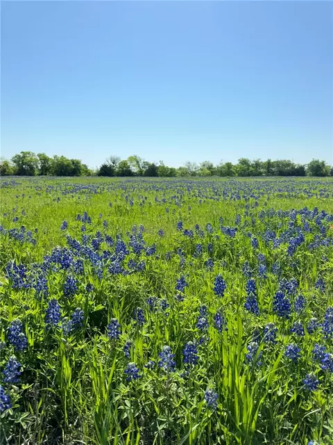 5 01 Acres Fm 308 Rd, Penelope, TX 76676
