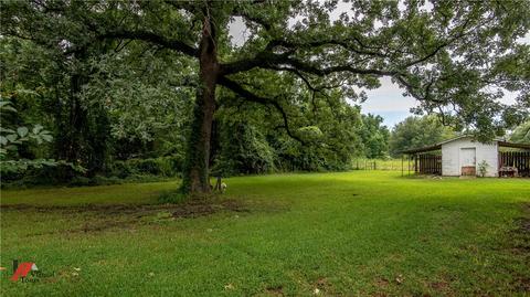 285 Blocker Chapel Rd, Sarepta, LA 71071 photo 14