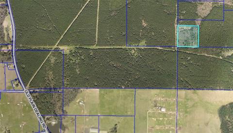 0 Old Plain Dealing Hwy, Benton, LA 71006