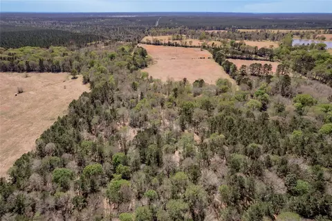 Na Kickapoo Road, Groveton, TX 75845 photo 6