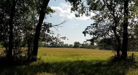 Na Kickapoo Road, Groveton, TX 75845 photo 11