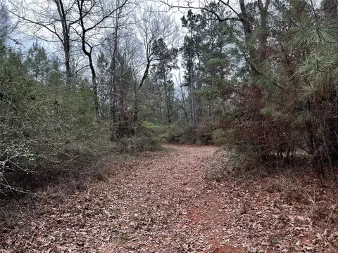 tbd County Road 207, Centerville, TX 75833 photo 2