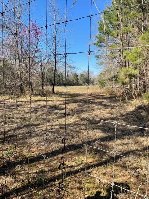 tbd County Road 207, Centerville, TX 75833 photo 8