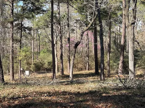 tbd County Road 207, Centerville, TX 75833 photo 10